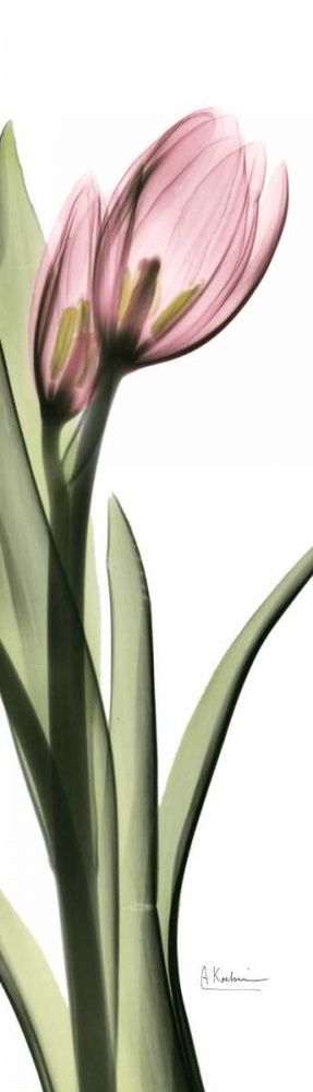 Similar wall art painting: 22109