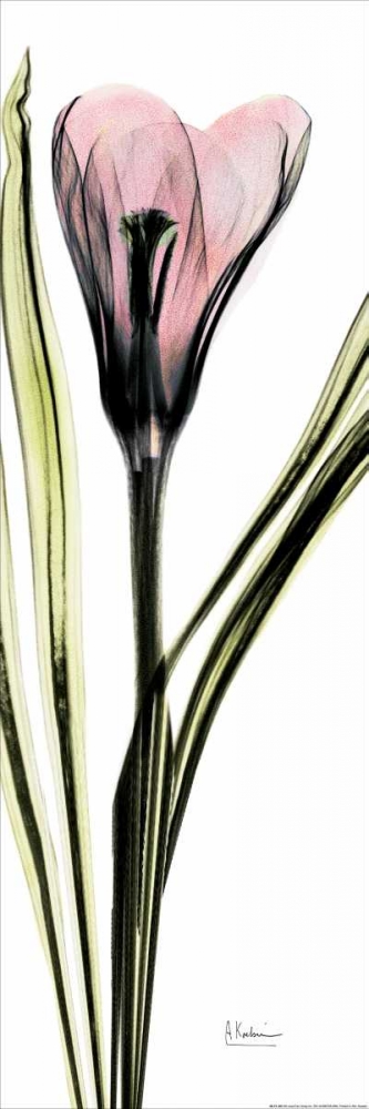 Similar wall art painting: 22127