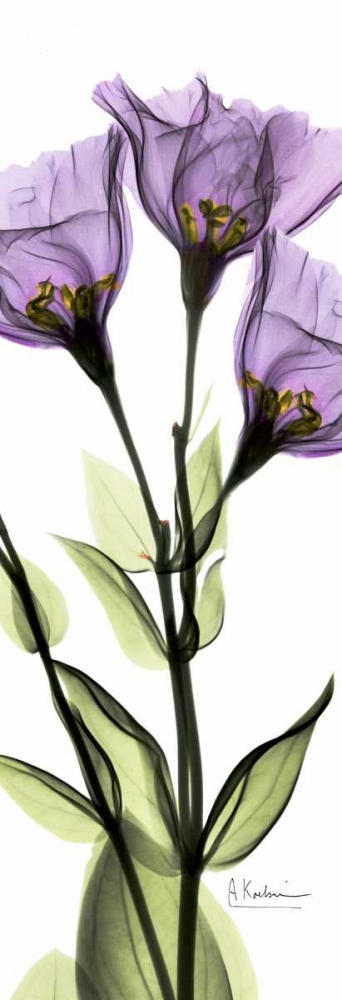 Similar wall art painting: 22128