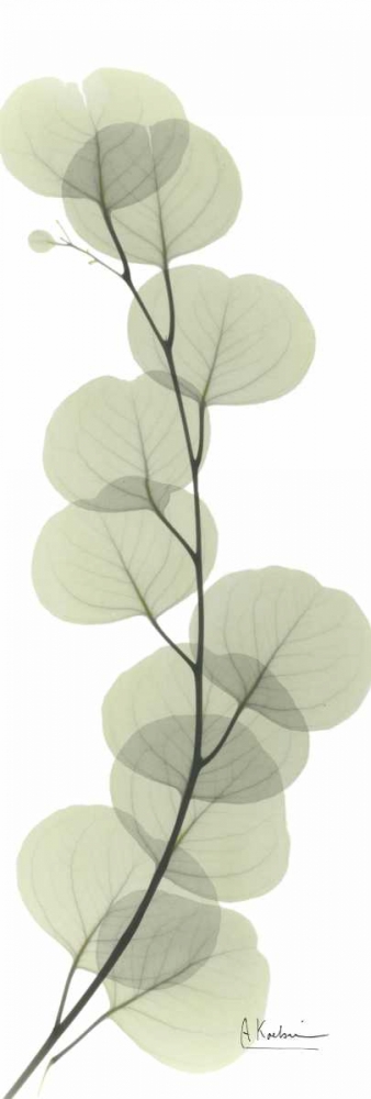 Similar wall art painting: 22141