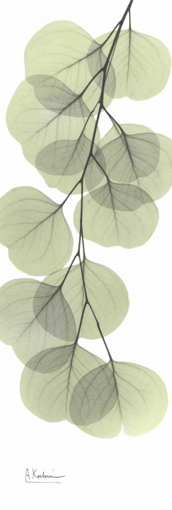 Similar wall art painting: 22143