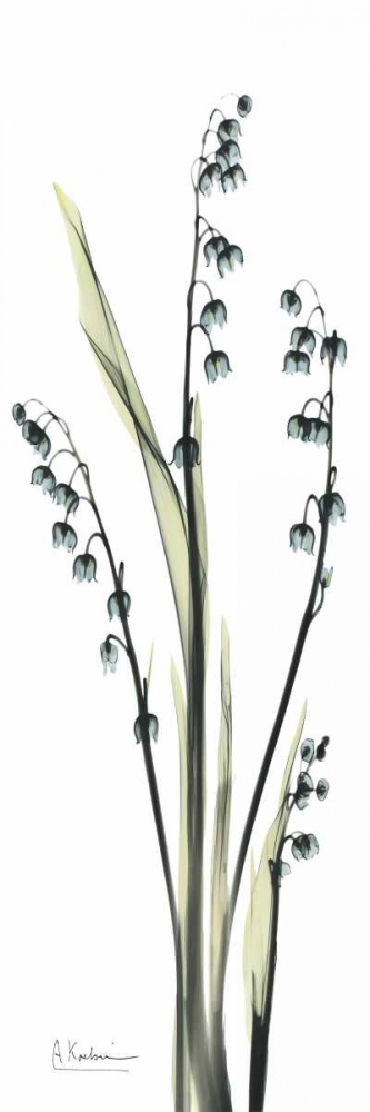 Wall Art Painting id:22144, Name: Lily of the Valley in Blue, Artist: Koetsier, Albert