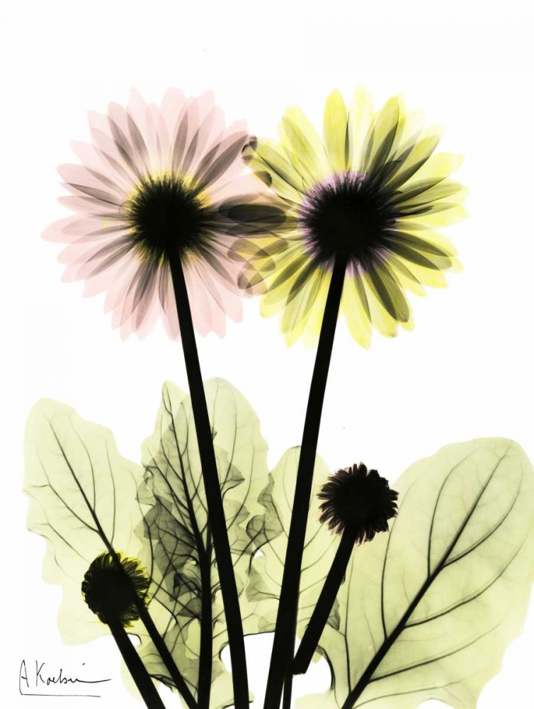 Similar wall art painting: 22156