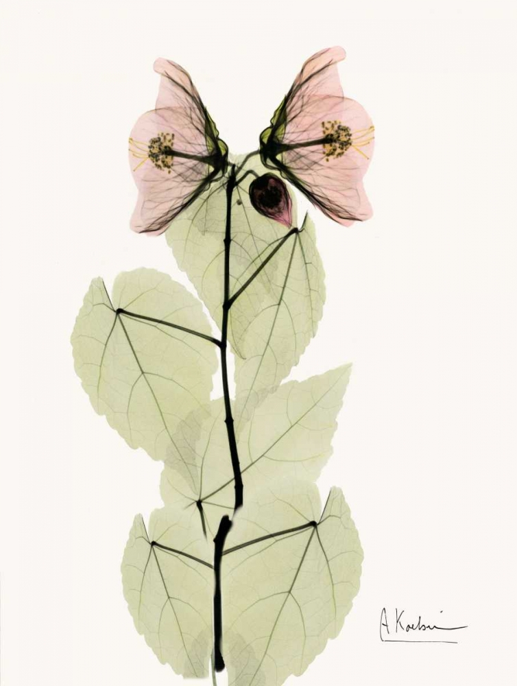 Similar wall art painting: 22159