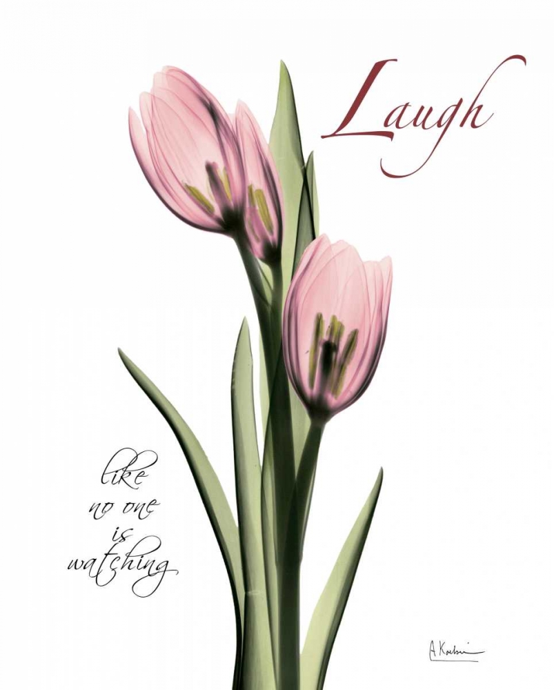 Wall Art Painting id:22163, Name: Tulip in Pink - Laugh, Artist: Koetsier, Albert