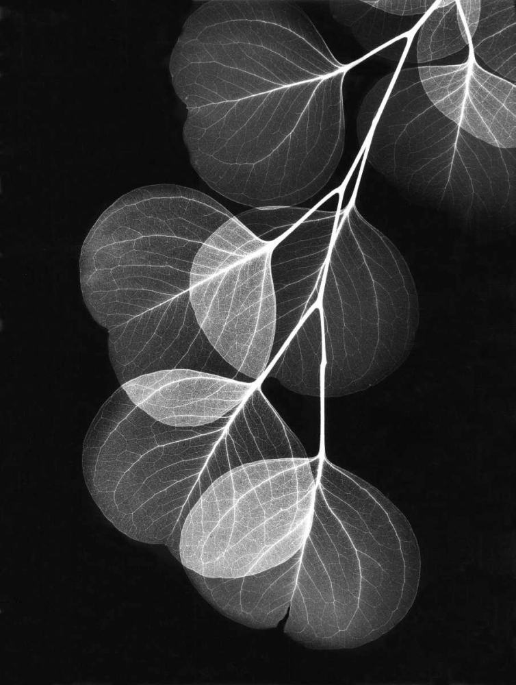 Similar wall art painting: 22220