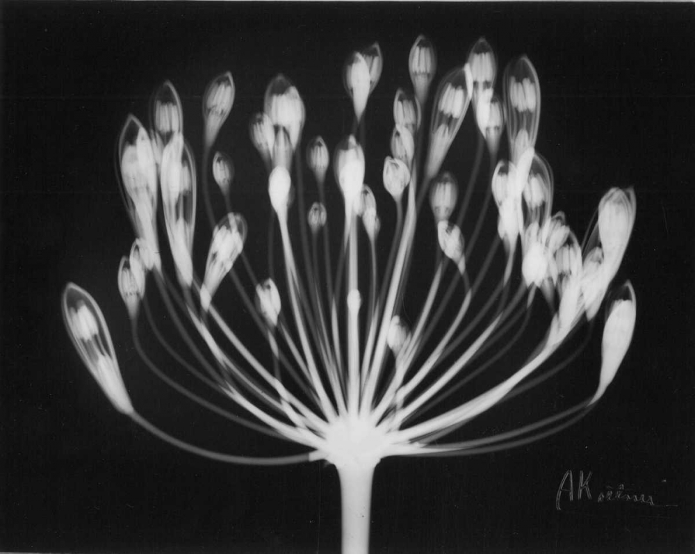 Similar wall art painting: 22229