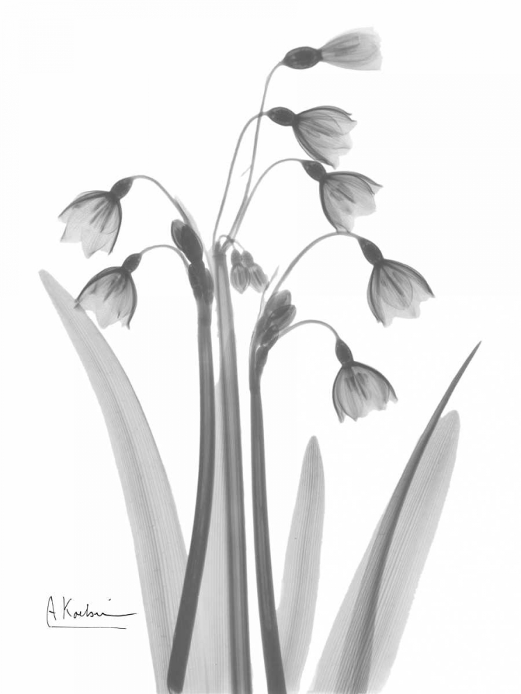 Similar wall art painting: 22255