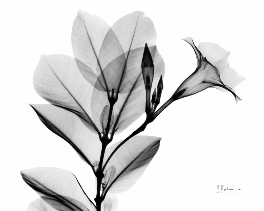 Similar wall art painting: 22278