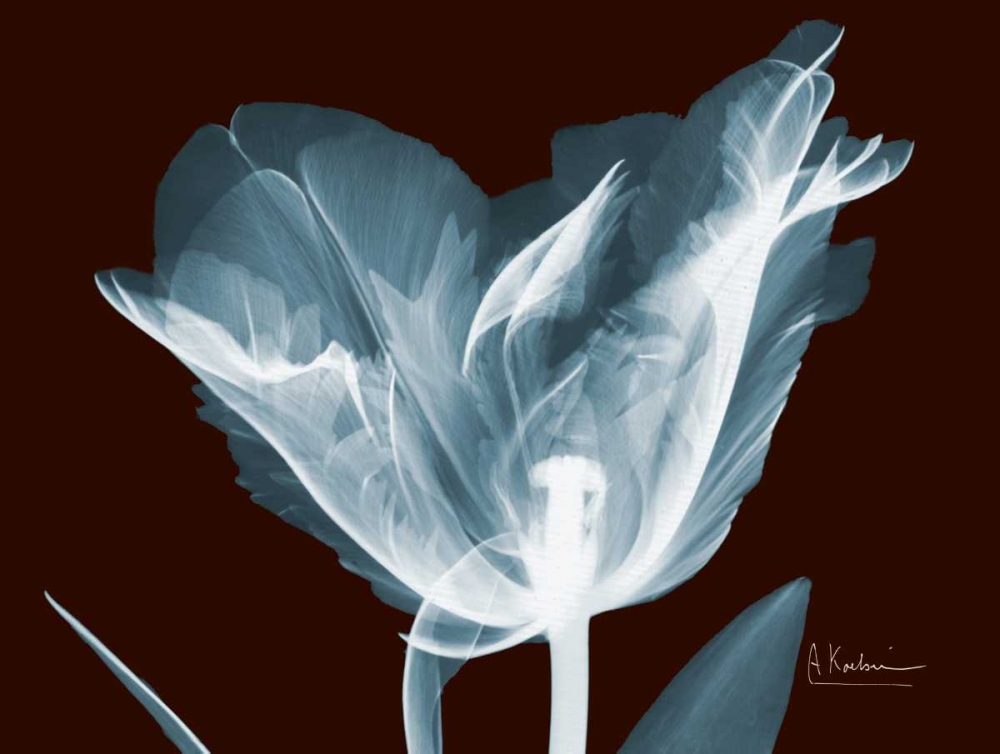 Similar wall art painting: 22331