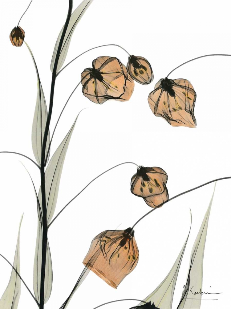 Similar wall art painting: 22402