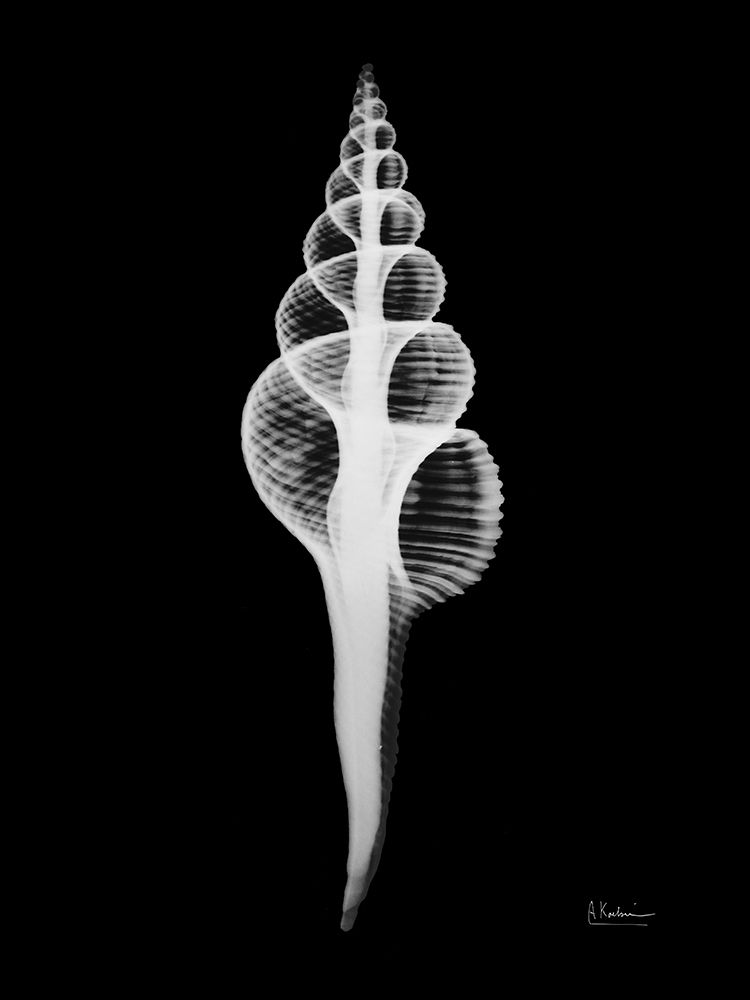 Similar wall art painting: 210965