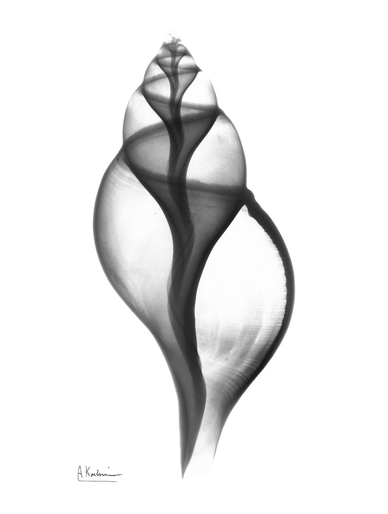 Similar wall art painting: 222372