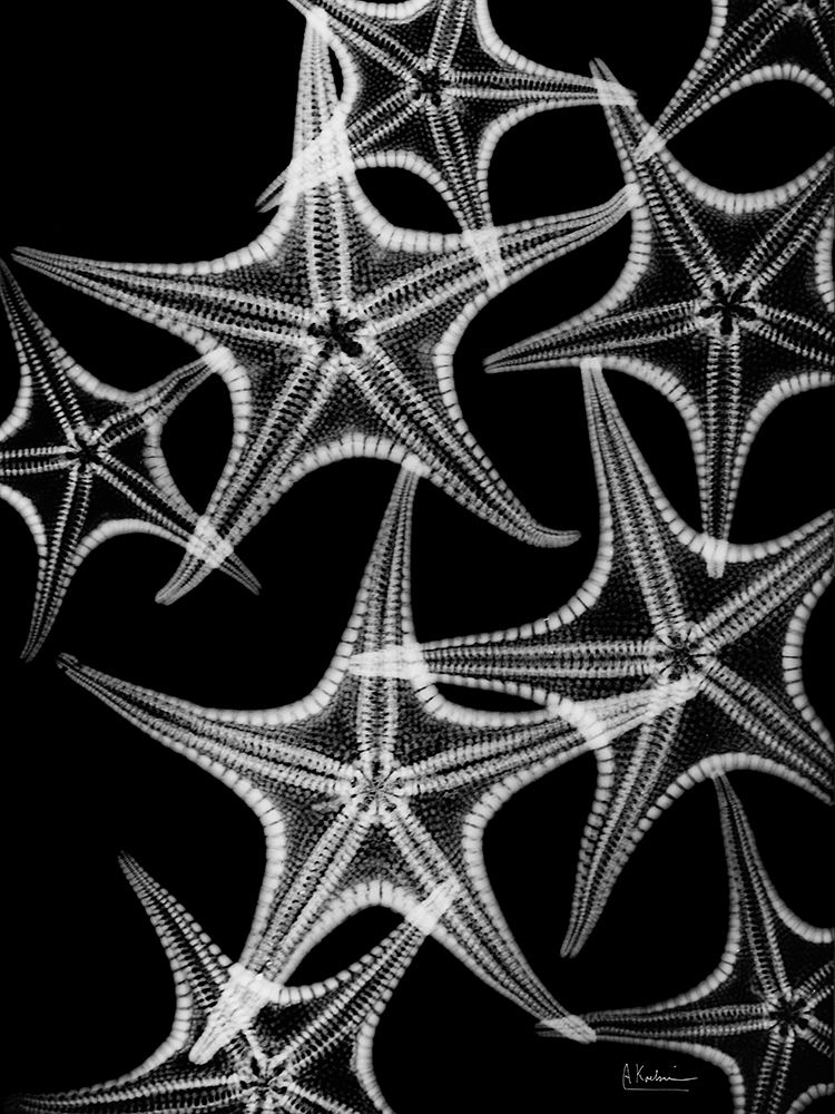 Similar wall art painting: 210967