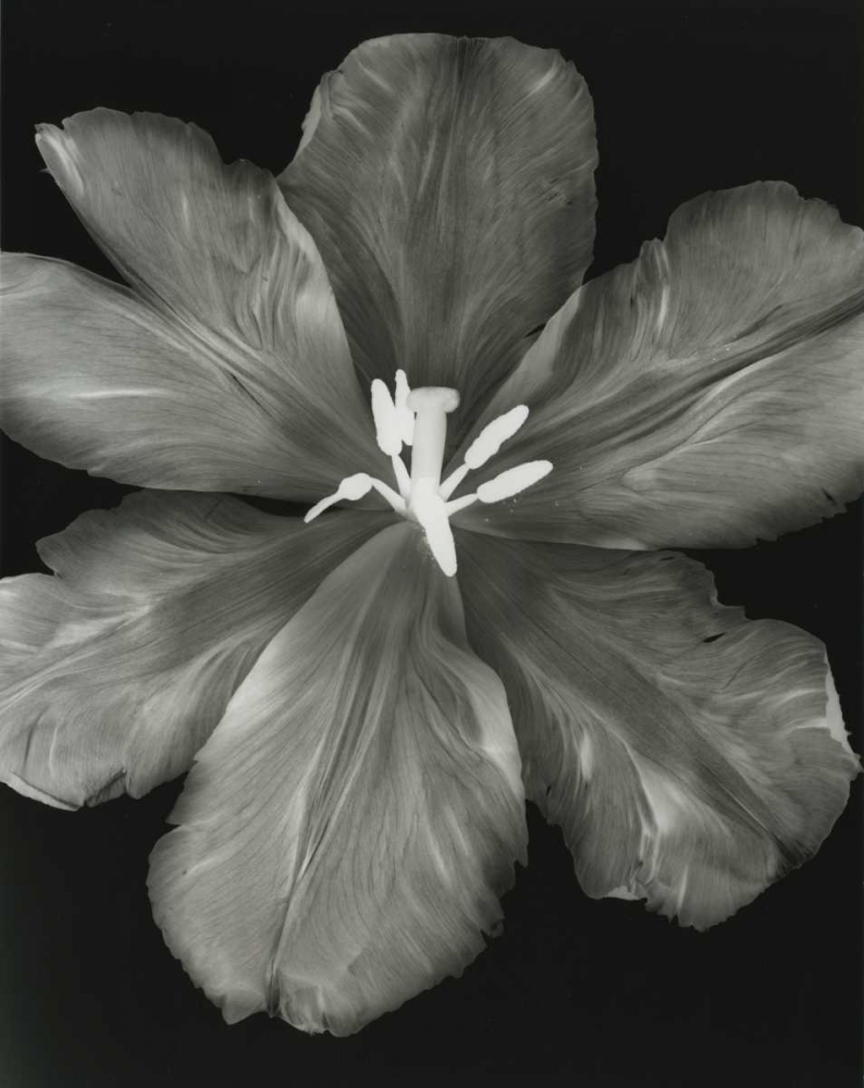 Similar wall art painting: 21707