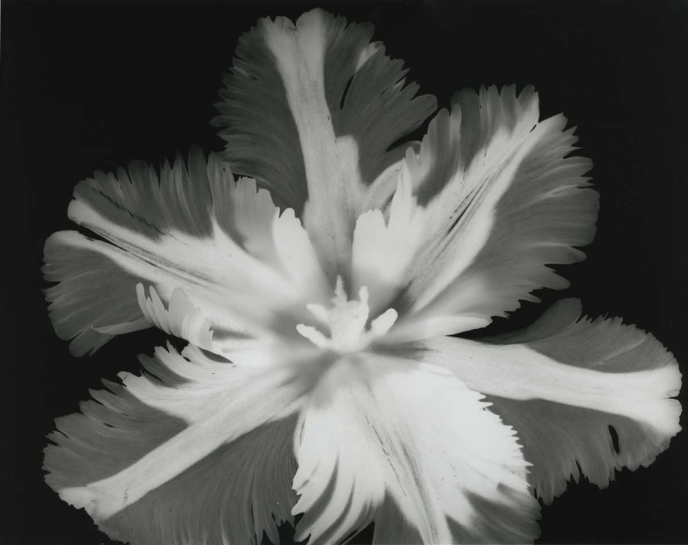 Similar wall art painting: 21708