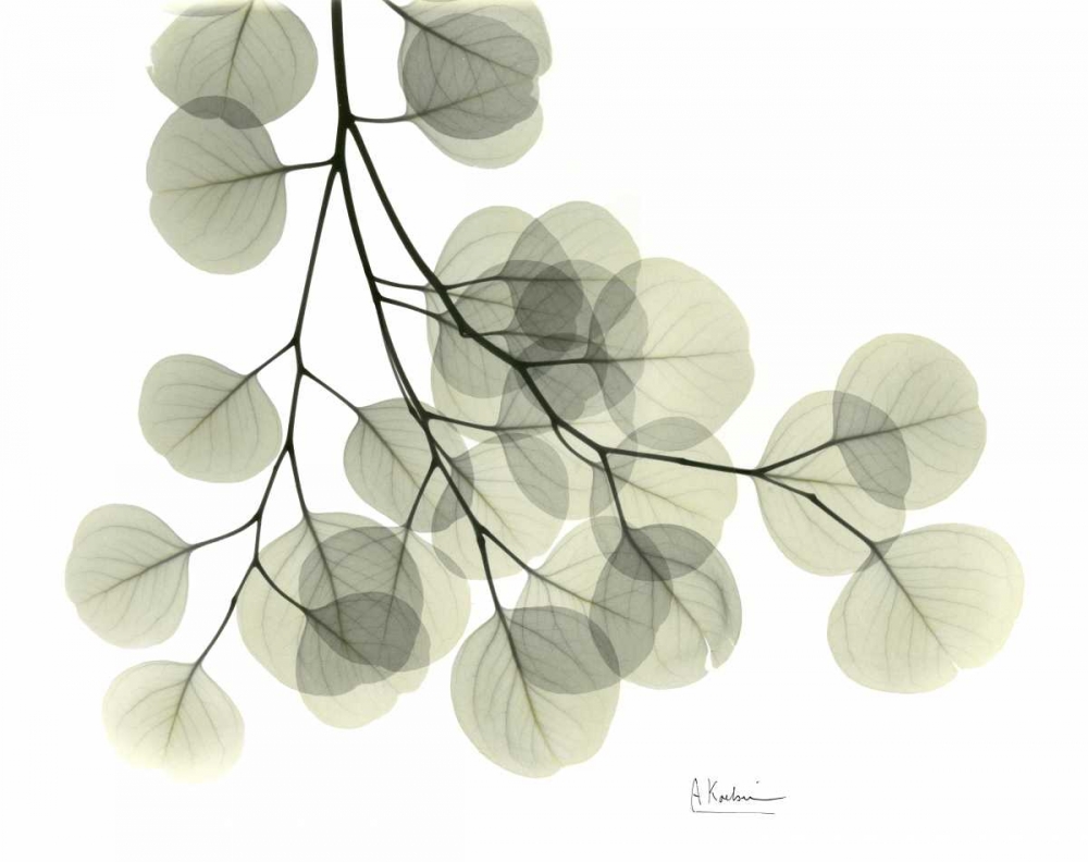 Similar wall art painting: 161259