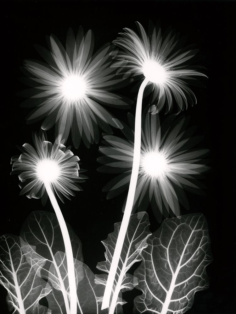 Similar wall art painting: 240503