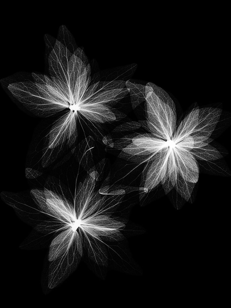 Similar wall art painting: 240504