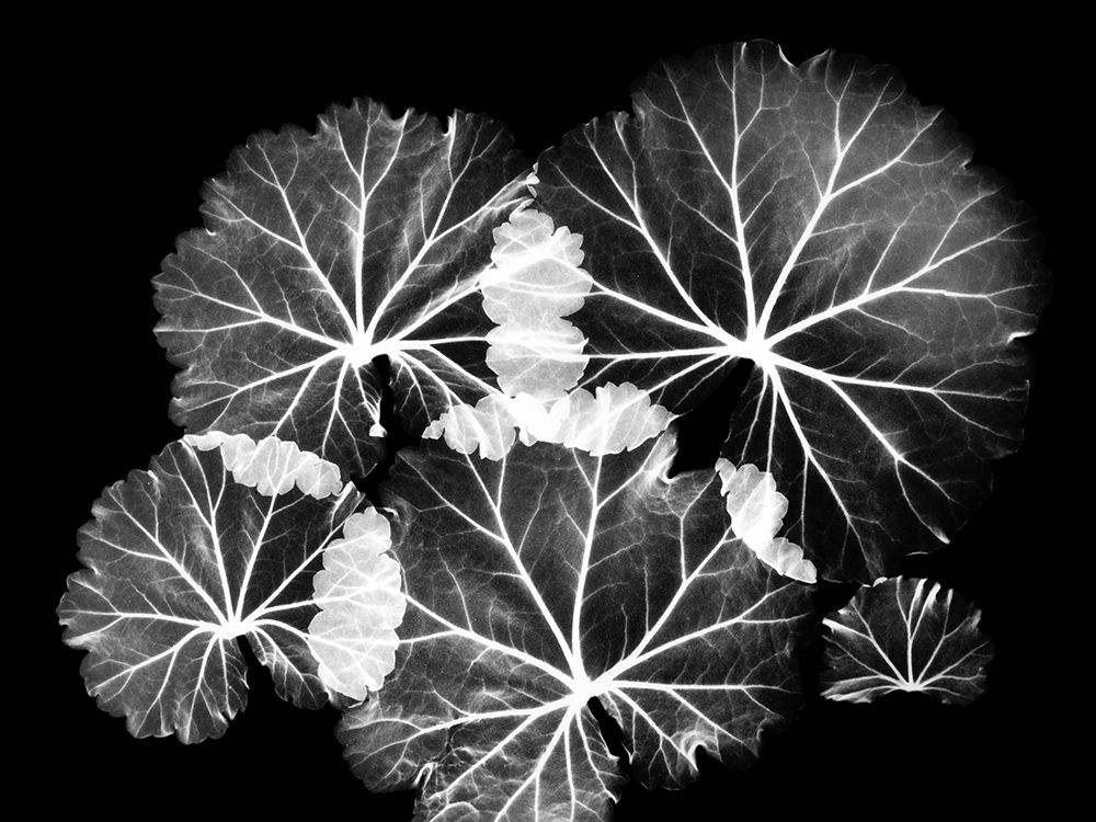 Similar wall art painting: 240505