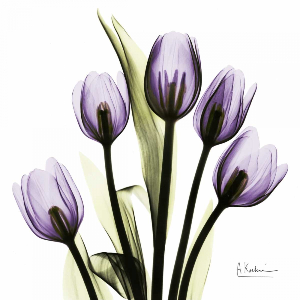 Wall Art Painting id:32613, Name: TulipImagine, Artist: Koetsier, Albert