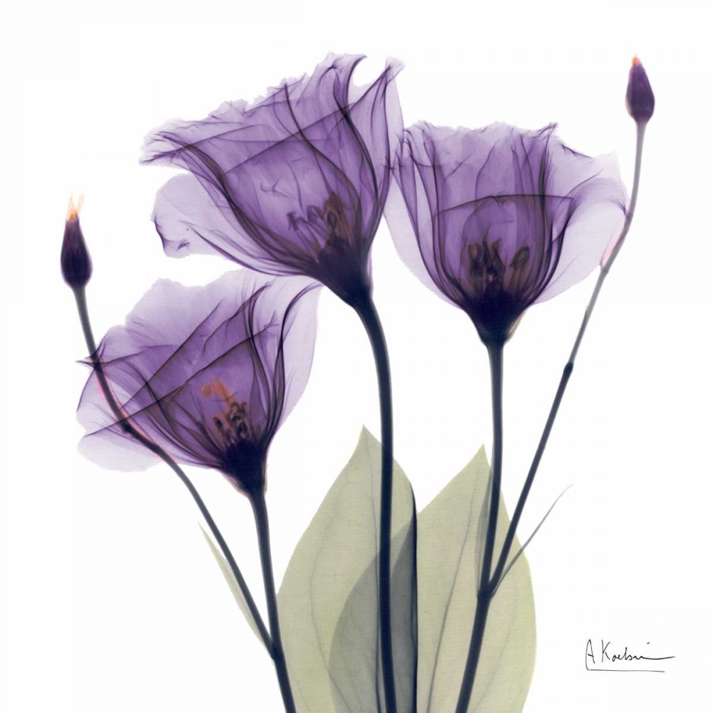 Similar wall art painting: 21710