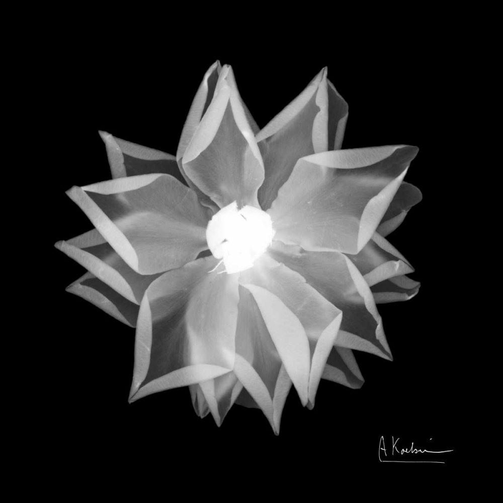 Similar wall art painting: 37242