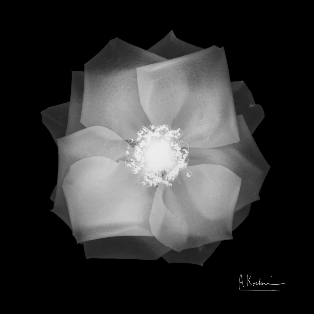 Similar wall art painting: 37241