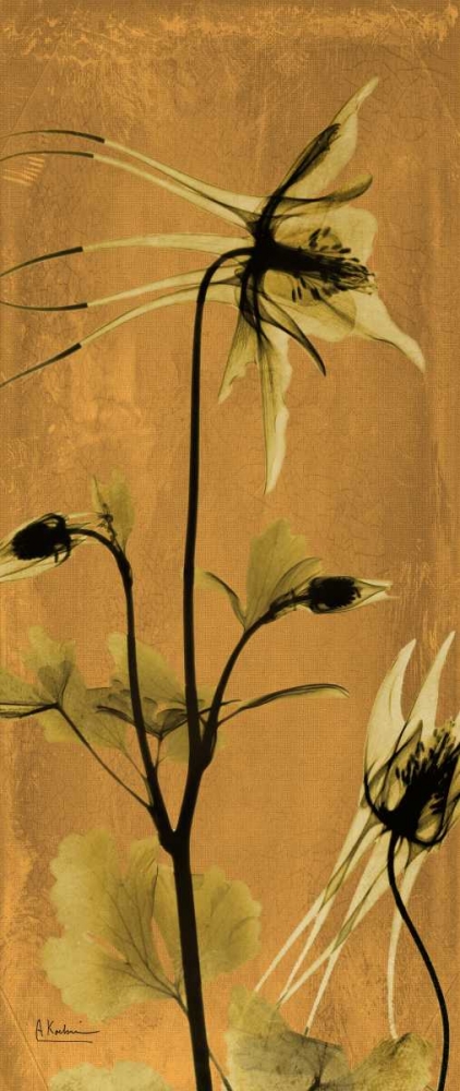 Similar wall art painting: 37300