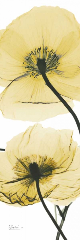 Similar wall art painting: 86040