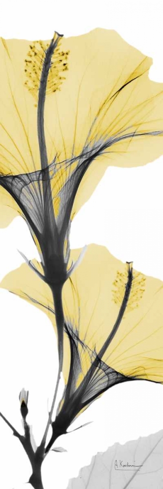 Similar wall art painting: 86041