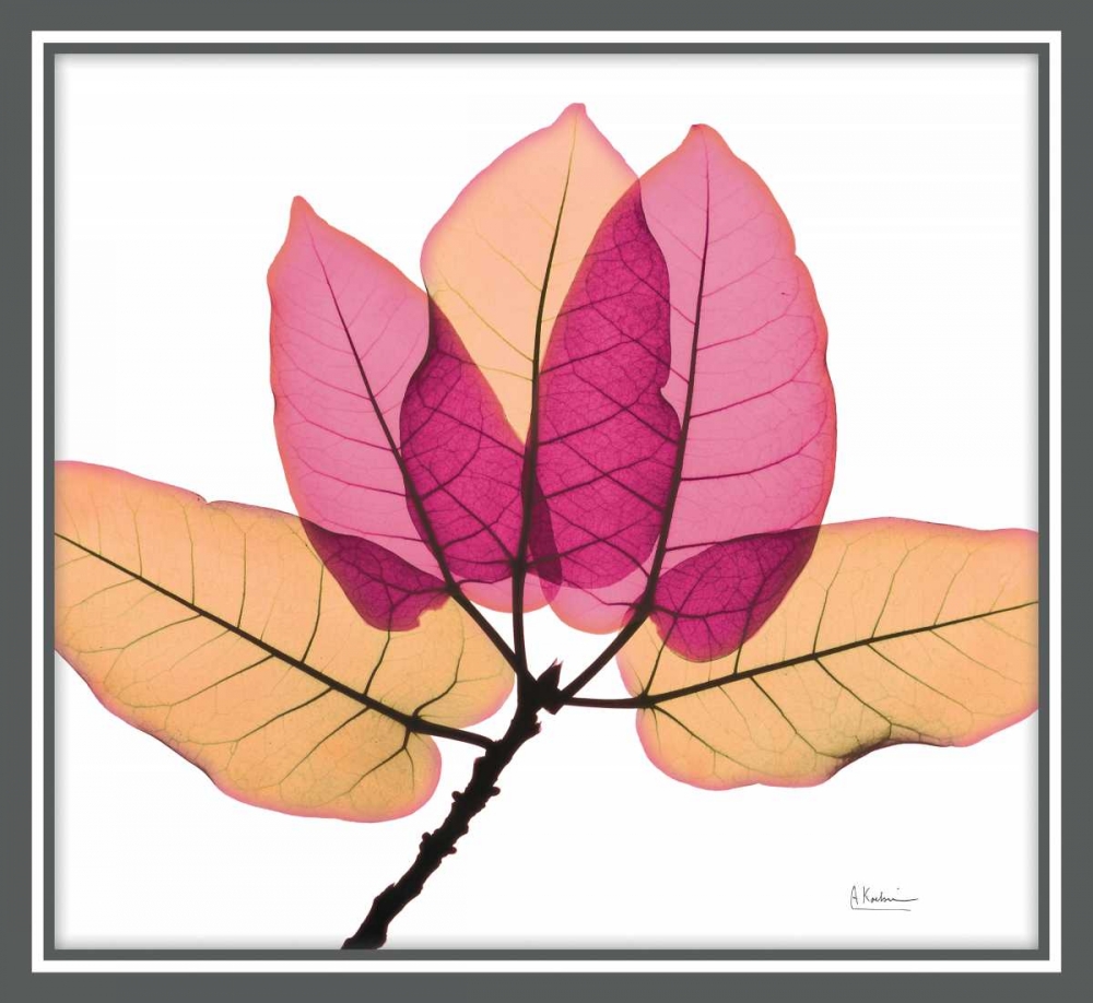 Similar wall art painting: 150359