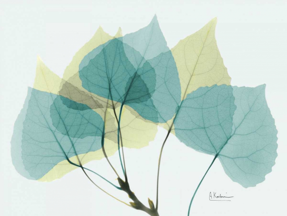 Similar wall art painting: 37258