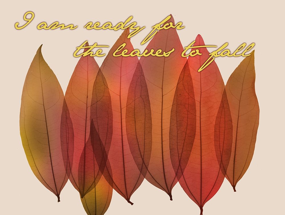 Similar wall art painting: 199508