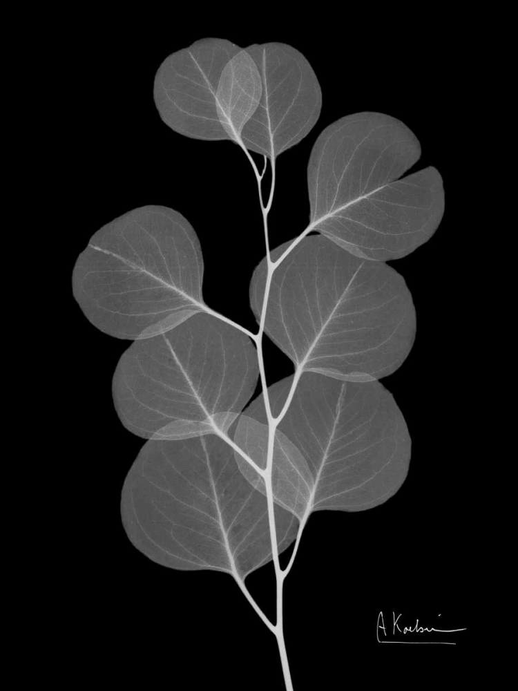 Similar wall art painting: 37268