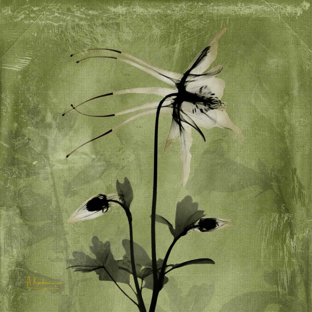 Similar wall art painting: 21727