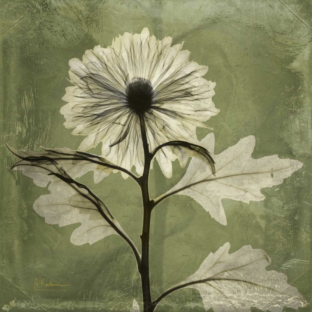 Wall Art Painting id:21726, Name: Chrysanthemum, Artist: Koetsier, Albert