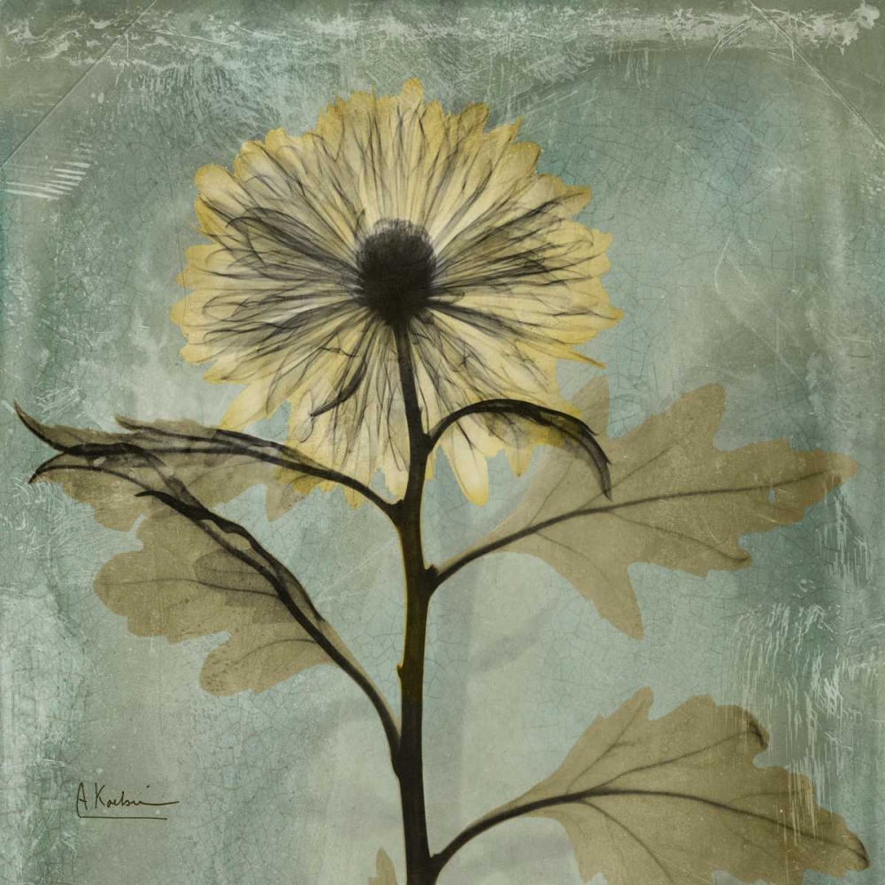 Wall Art Painting id:21725, Name: Chrysanthemum, Artist: Koetsier, Albert