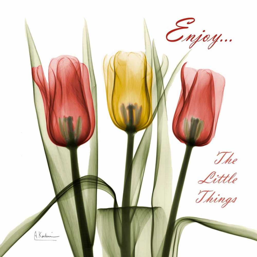 Wall Art Painting id:106236, Name: Tulips Enjoy The Little Things, Artist: Koetsier, Albert