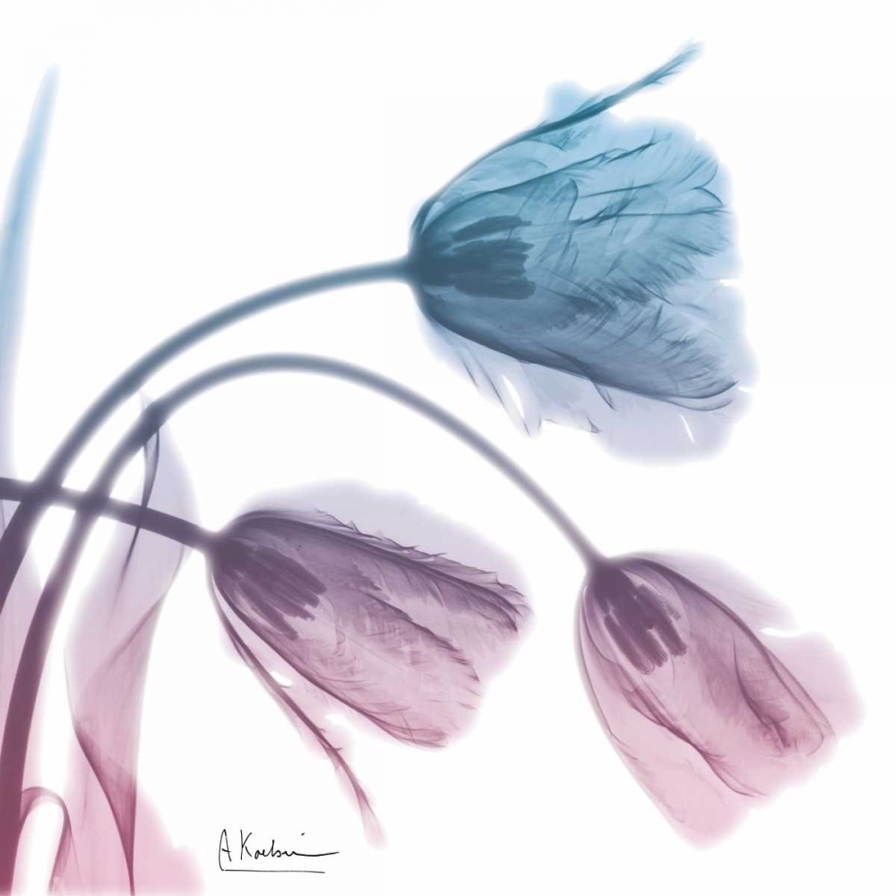 Wall Art Painting id:86058, Name: Tulips Rose Serenity, Artist: Koetsier, Albert