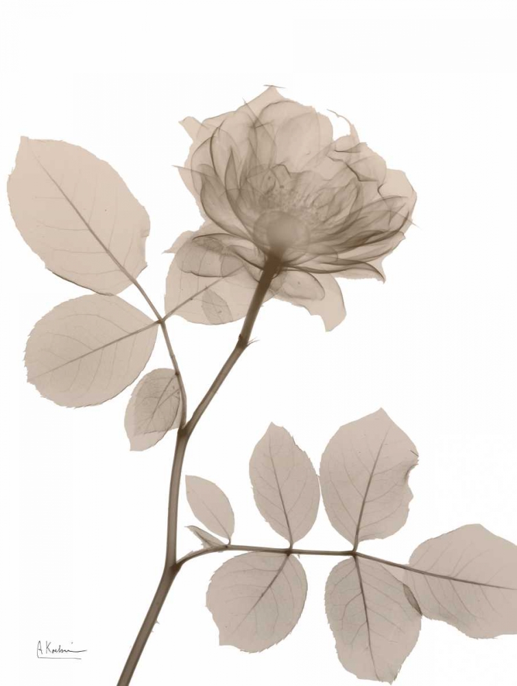 Similar wall art painting: 86081