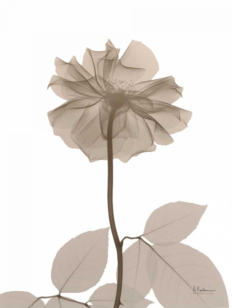 Similar wall art painting: 86082