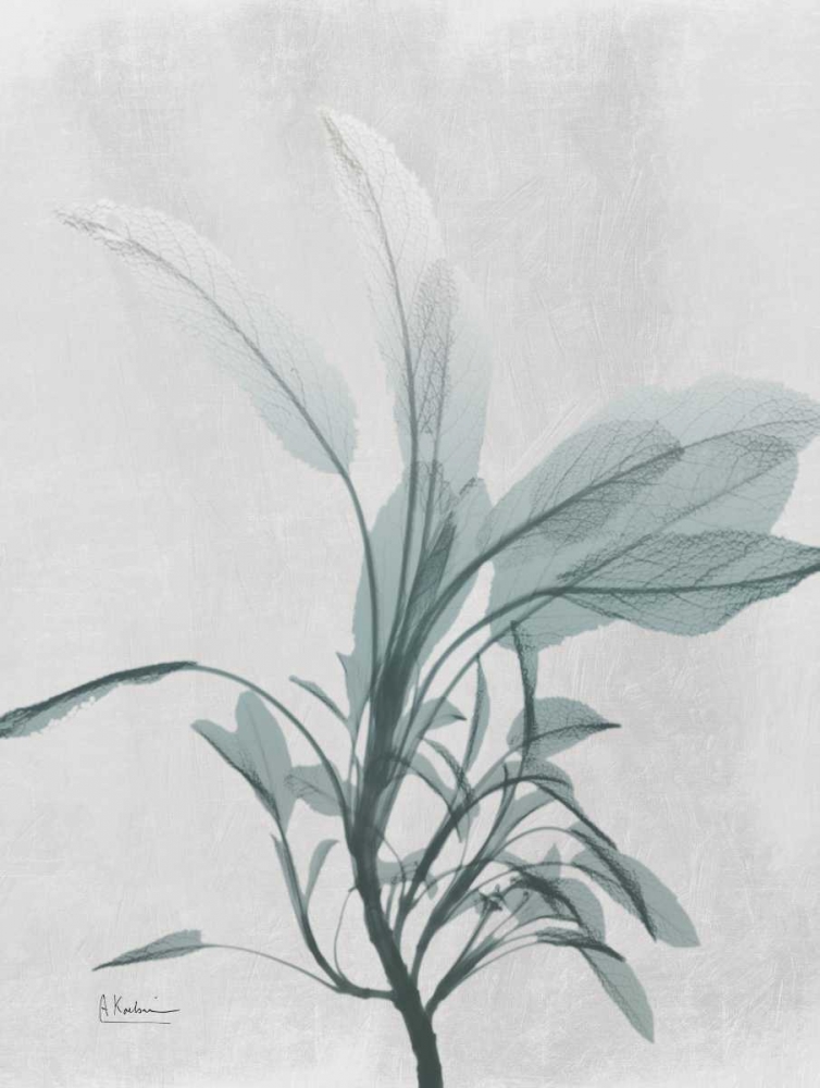 Similar wall art painting: 158506