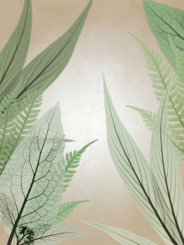 Similar wall art painting: 158517