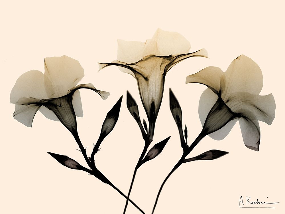 Similar wall art painting: 299272