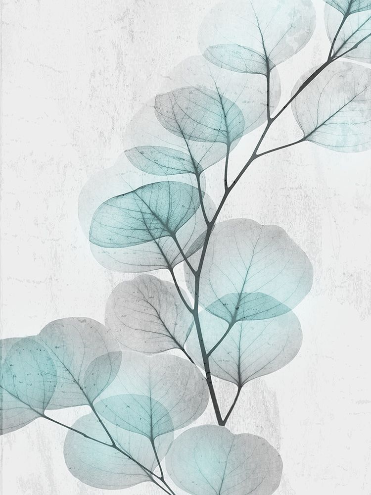 Wall Art Painting id:385124, Name: Eucalyptus Glow 4, Artist: Koetsier, Albert