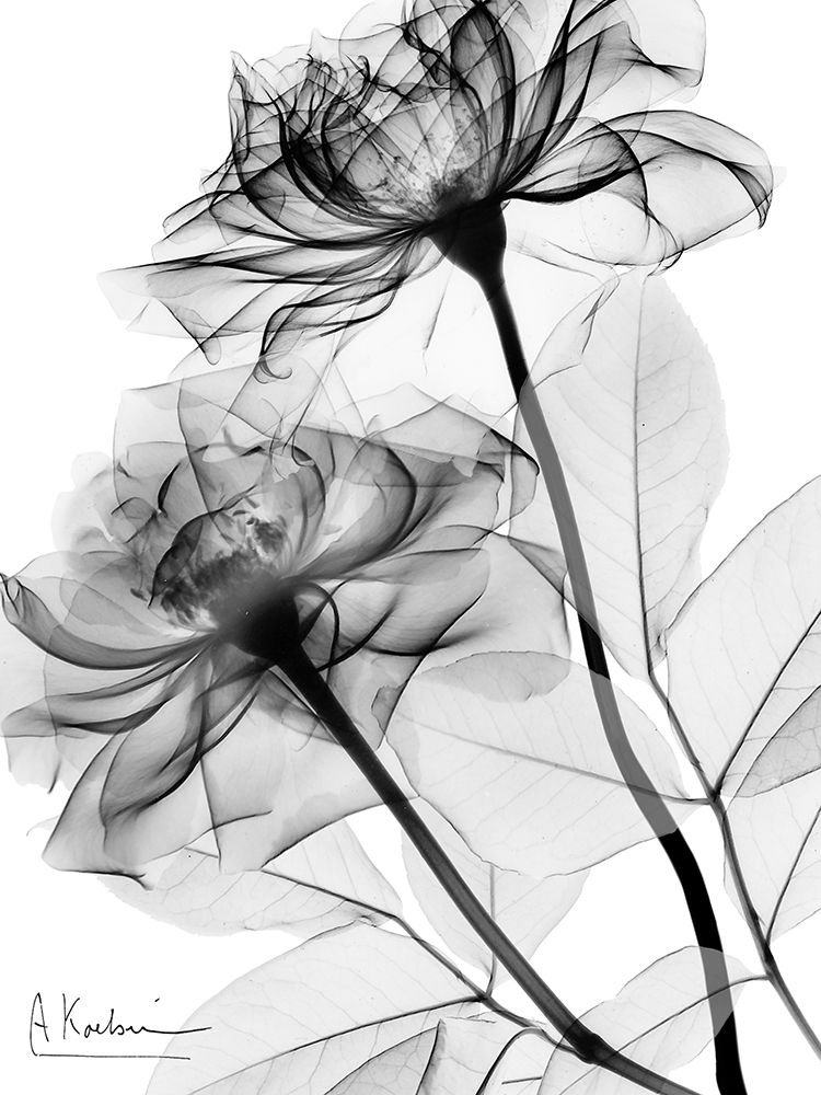 Similar wall art painting: 557976