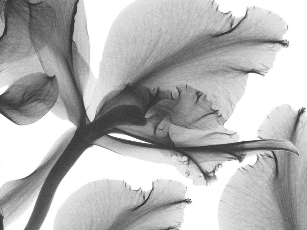 Similar wall art painting: 557979