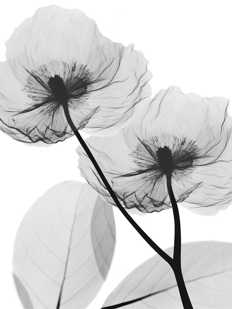 Similar wall art painting: 557981