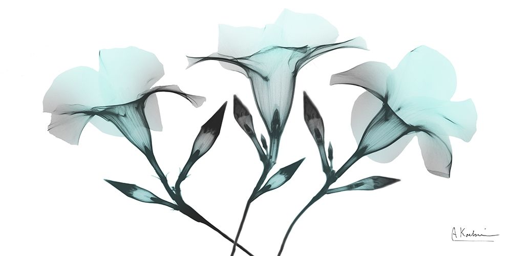 Similar wall art painting: 385143